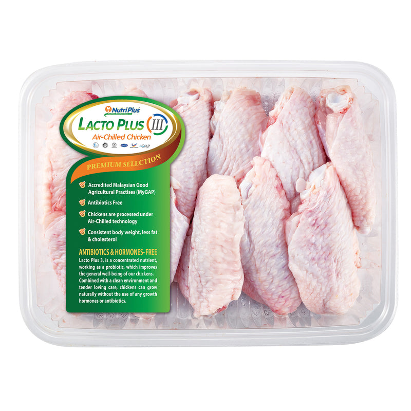 Lacto Plus III Mid Joint Chicken Wing 400g+/-