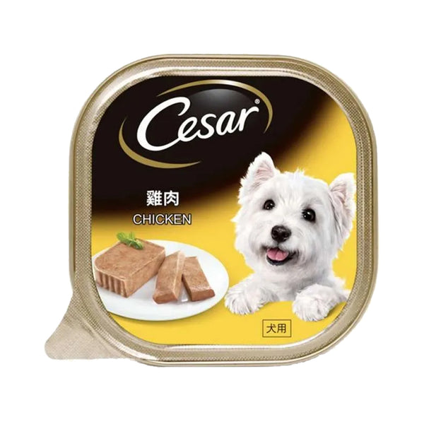 Cesar Chicken Wet Dog Food 100g (highest price)