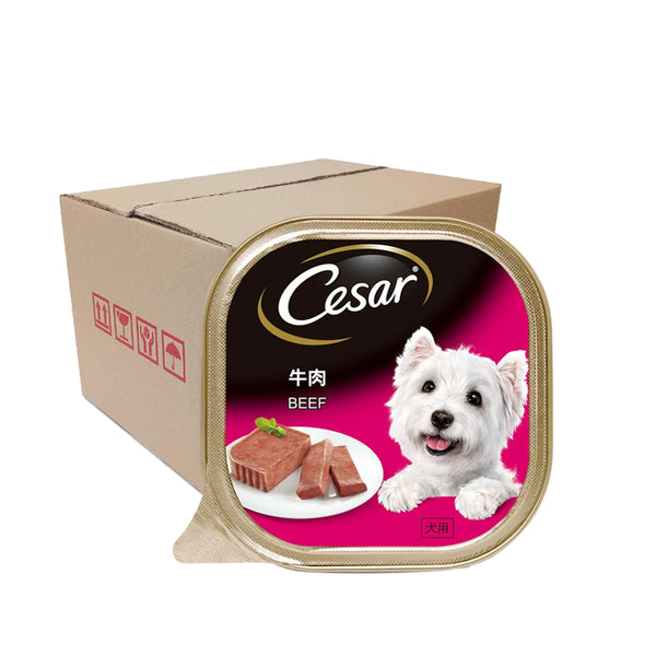 Cesar Beef Wet Dog Food 100g (highest price)