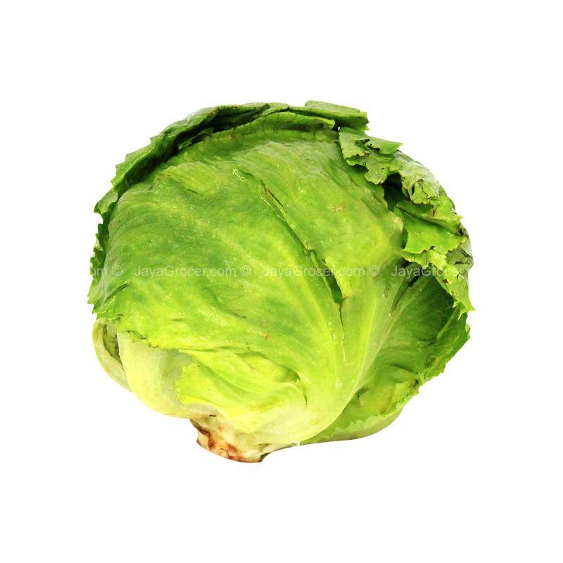 Cameron Garden Iceberg Lettuce 300g