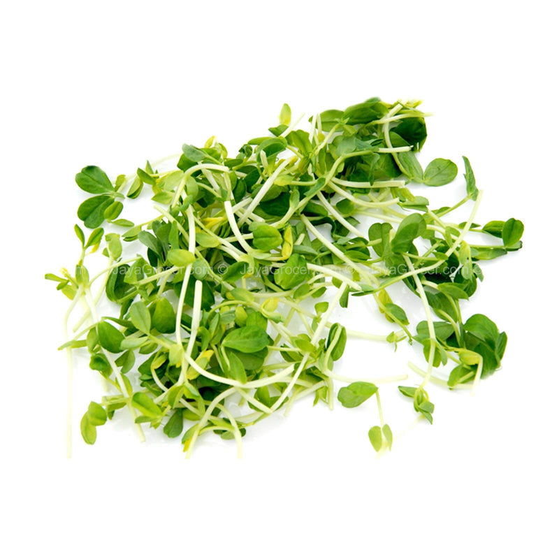 Cameron Garden Pea Sprout (Malaysia) 200g