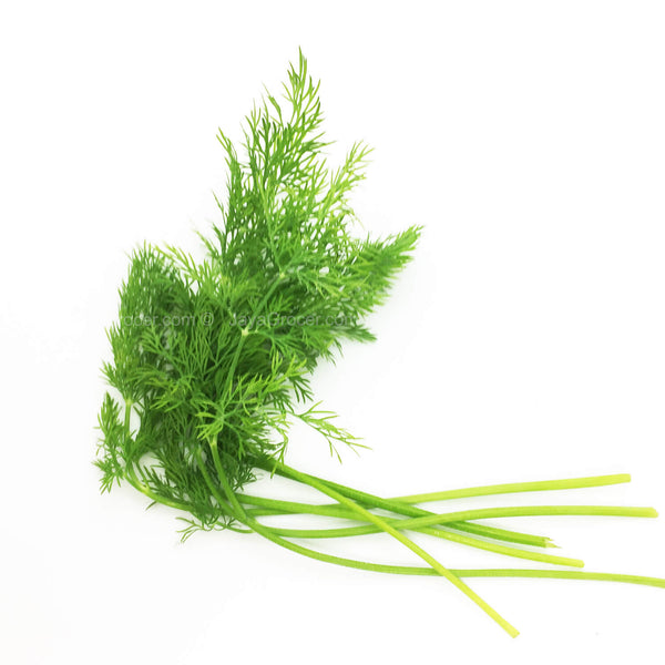 Genting Garden Dill Leaves 10g (highest price)