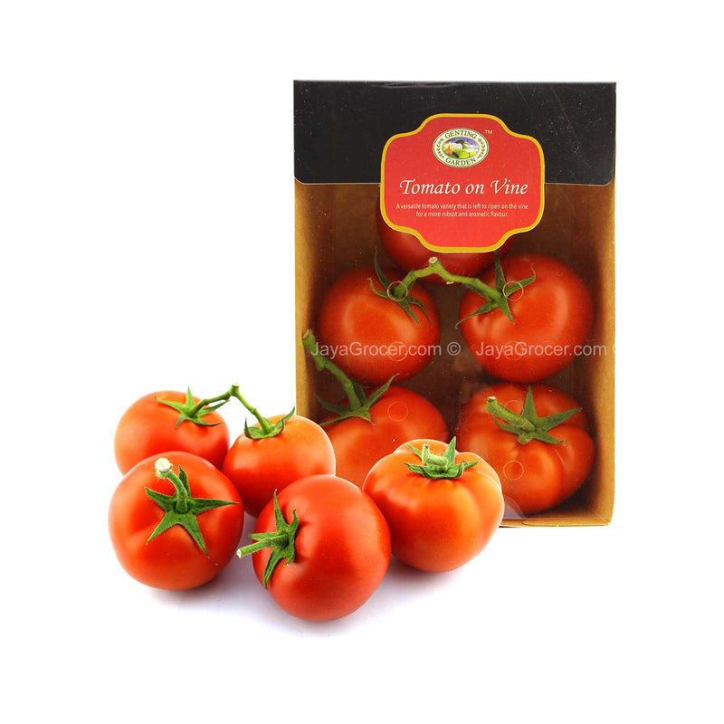 Genting Garden Tomato On Vine (Malaysia) 550g