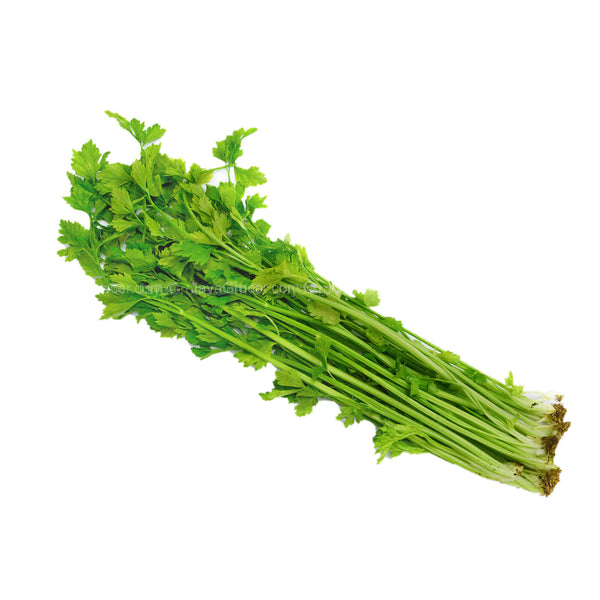 Chinese Celery (Daun Sup) (Malaysia) 100g (highest price)