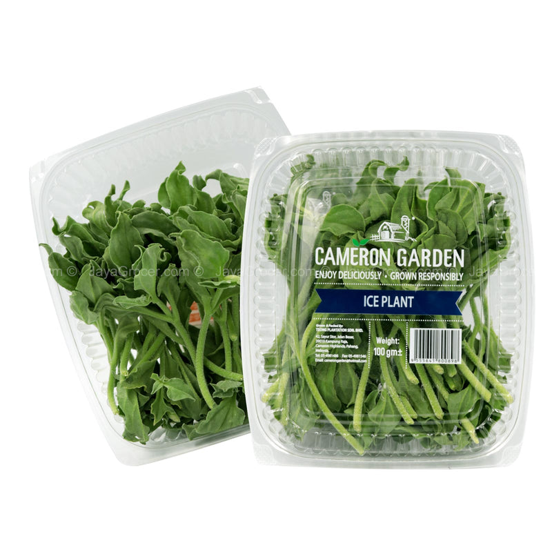 Cameron Garden Ice Plant Salad (Malaysia) (Malaysia) 100g