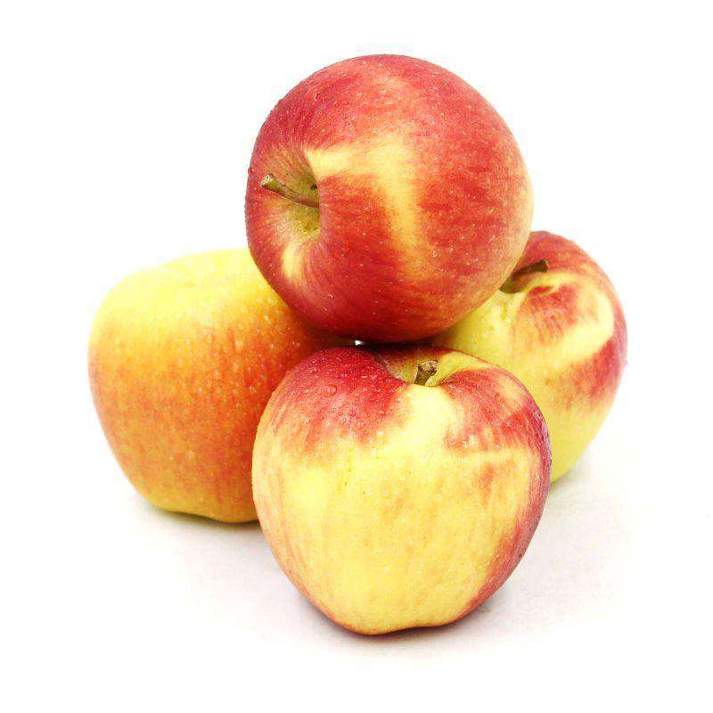 ORG APPLE-AMBROSIA 4S (ITA) C10