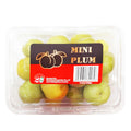 1 UNIT