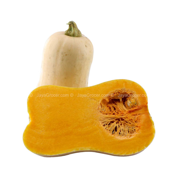 Butternut Pumpkin (Australia) 1kg (highest price)