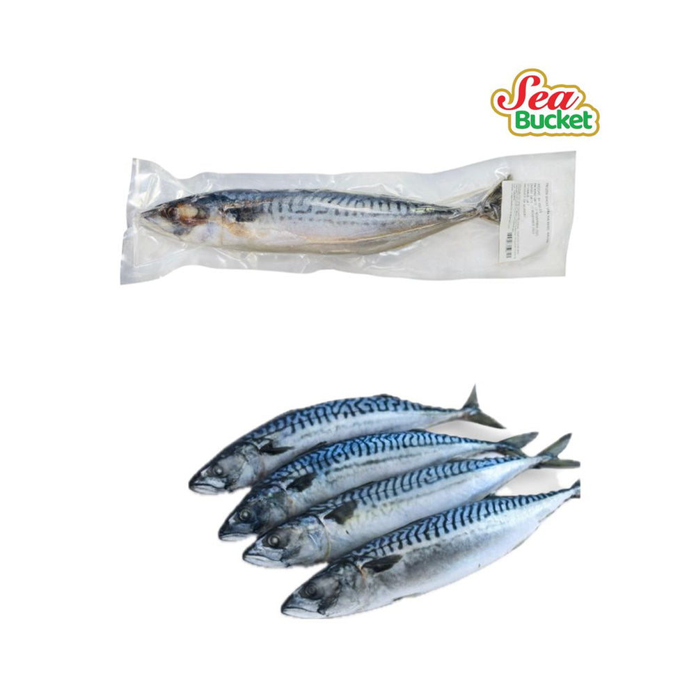 Magic Seafood Whole Saba Mackerel 600g