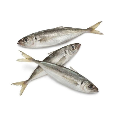 Ikan Sardin 400g/pack