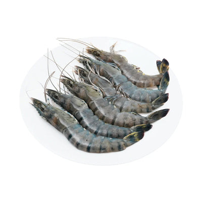 Udang Putih XL 300g