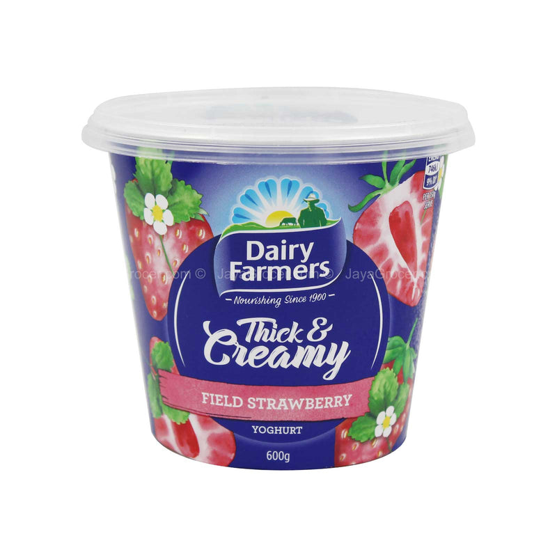 Dairy Farmers Thick & Creamy Field Strawberries Yoghurt 600g